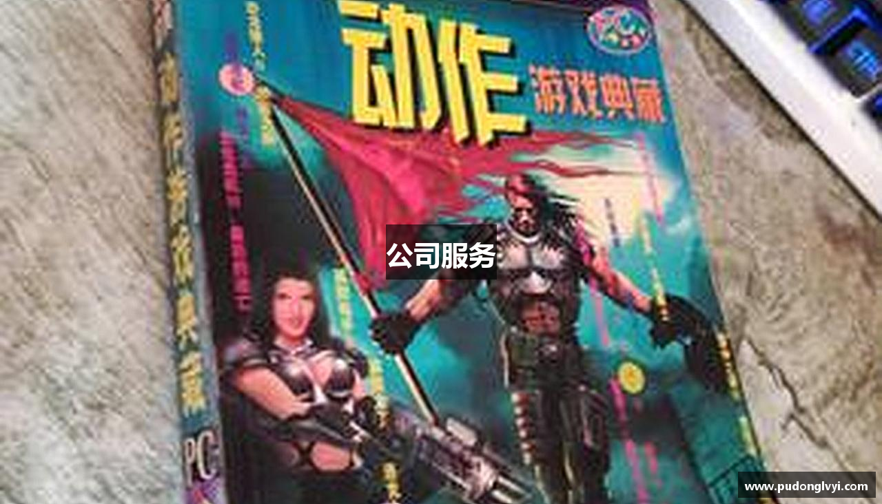 公司服务
