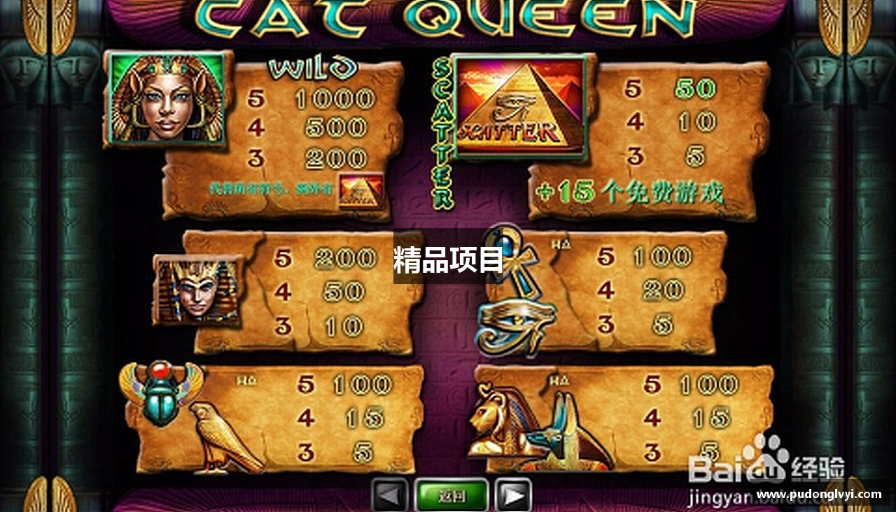 精品项目